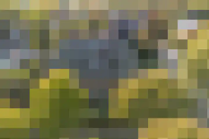 Beethovenlaan 4 Naarden thumbnail 7
