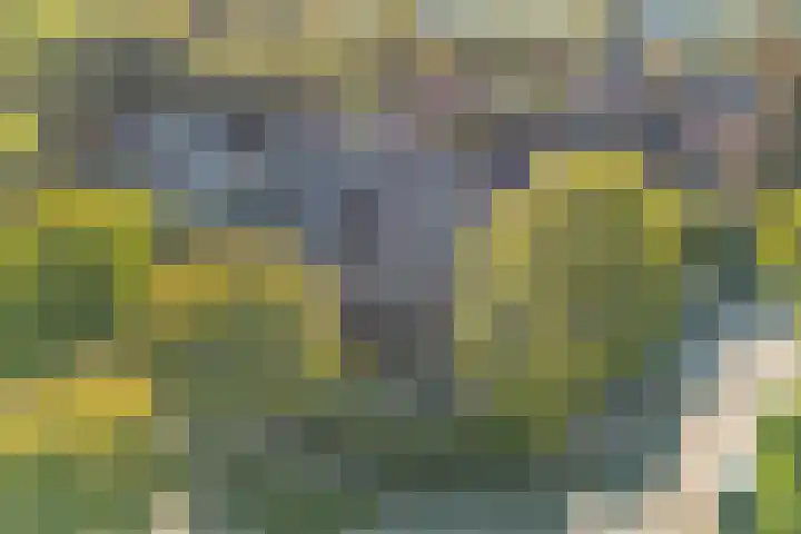 Beethovenlaan 4 Naarden thumbnail 8