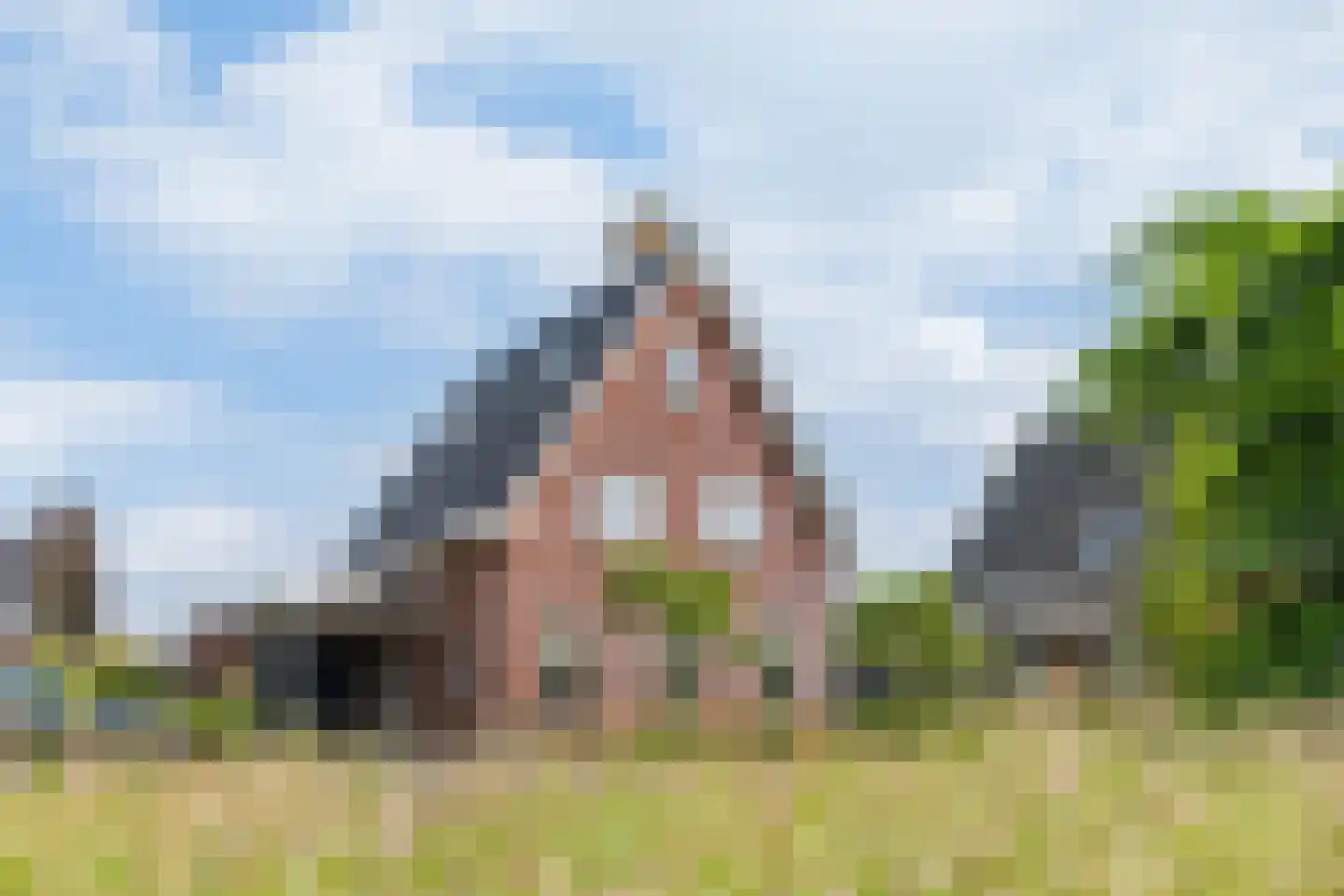 Beethovenlaan 40 Raalte thumbnail 6