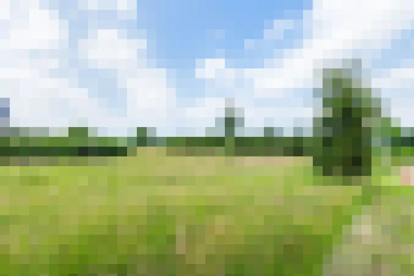 Beethovenlaan 40 Raalte thumbnail 7