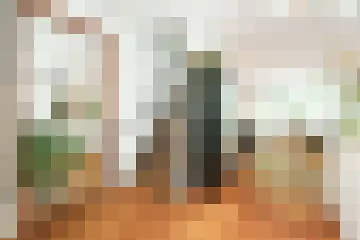 Beethovenlaan 40 Zeist thumbnail 13