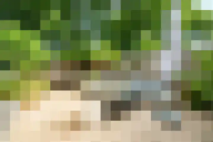 Beethovenlaan 40 Zeist thumbnail 20
