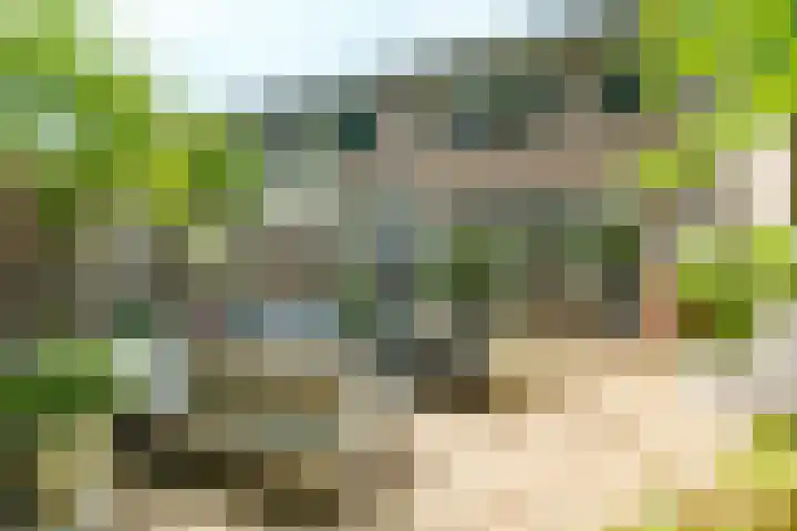Beethovenlaan 40 Zeist thumbnail 22