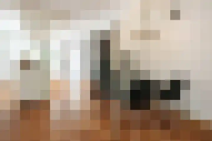 Beethovenlaan 40 Zeist thumbnail 8