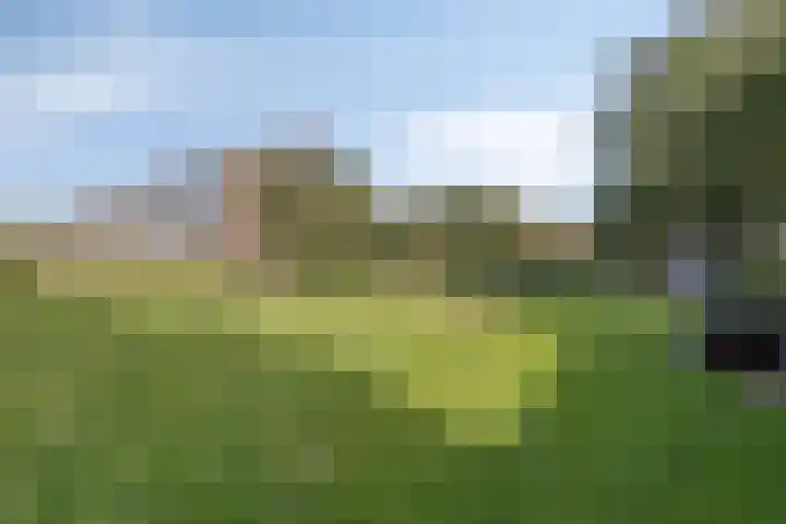 Beethovenlaan 426 Zwolle thumbnail 20