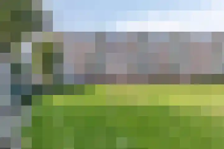 Beethovenlaan 426 Zwolle thumbnail 22