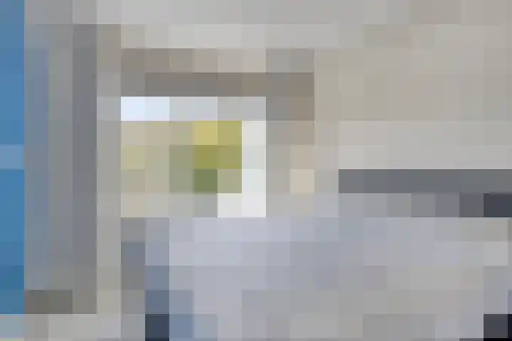 Beethovenlaan 426 Zwolle thumbnail 6