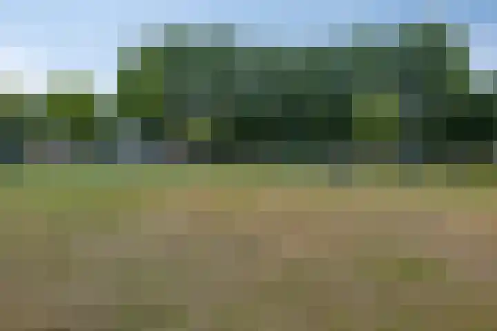 Beethovenlaan 43 Bunschoten-Spakenburg thumbnail 46