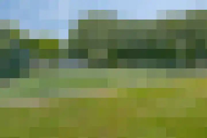 Beethovenlaan 43 Bunschoten-Spakenburg thumbnail 47