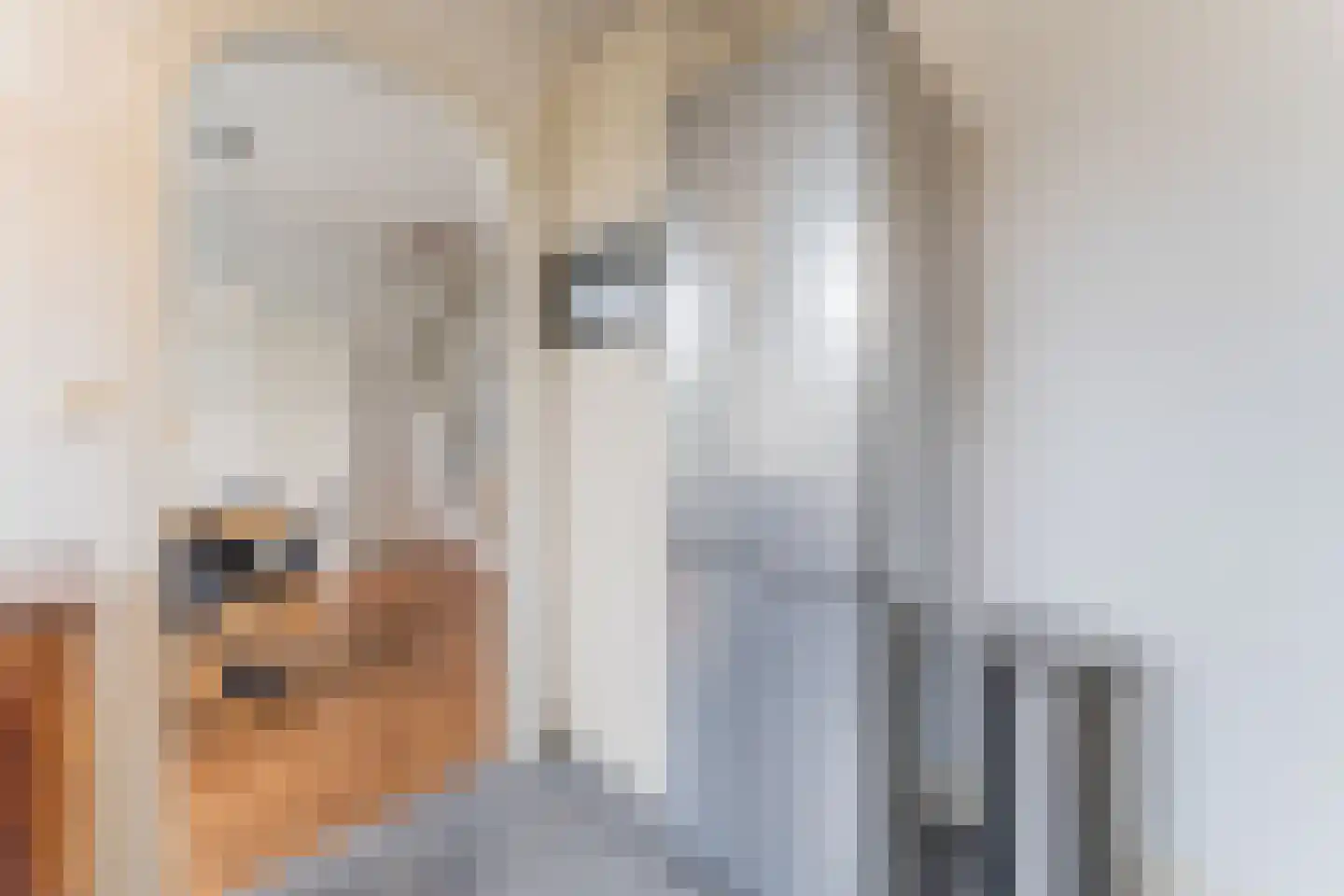Beethovenlaan 43 Nijkerk thumbnail 10