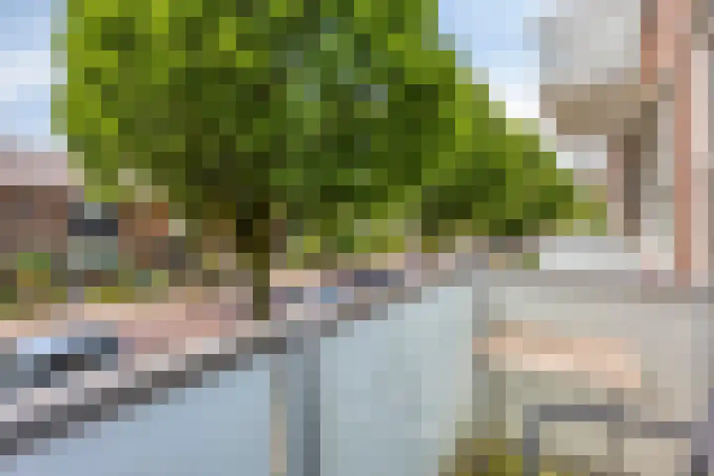 Beethovenlaan 438 Zwolle thumbnail 21