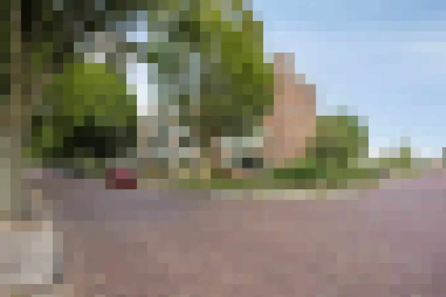 Beethovenlaan 438 Zwolle thumbnail 26