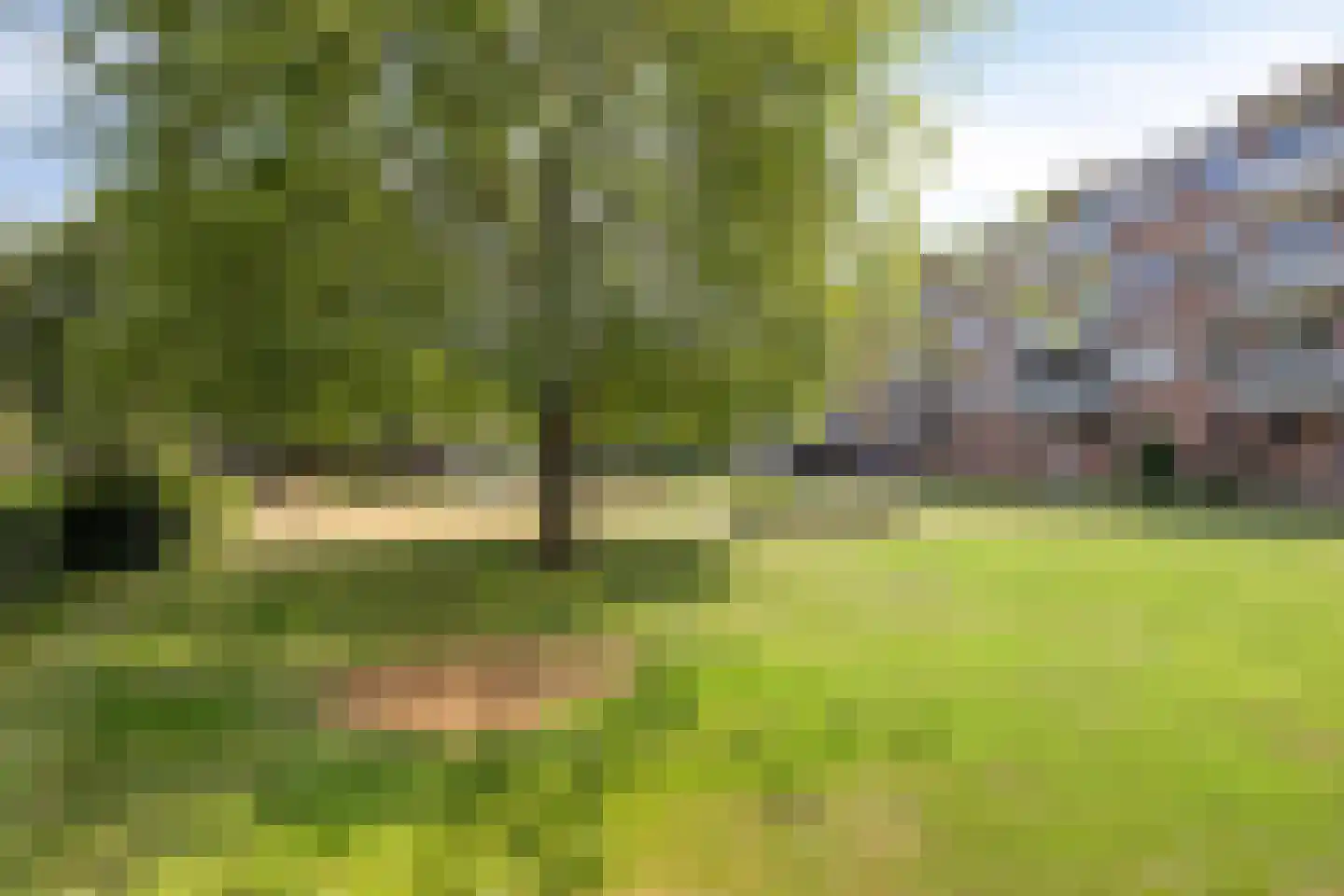 Beethovenlaan 438 Zwolle thumbnail 35