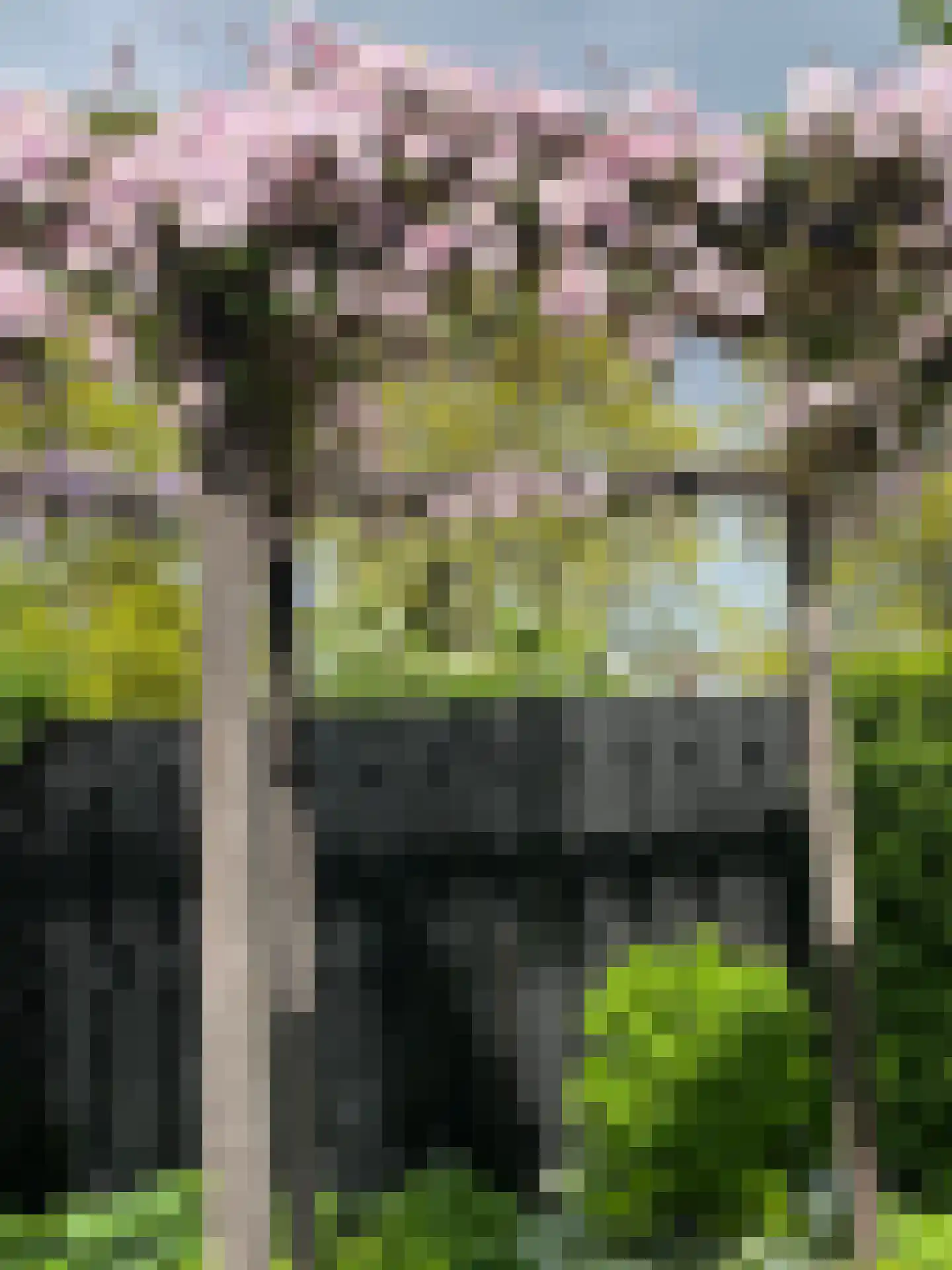 Beethovenlaan 44 Naarden thumbnail 13
