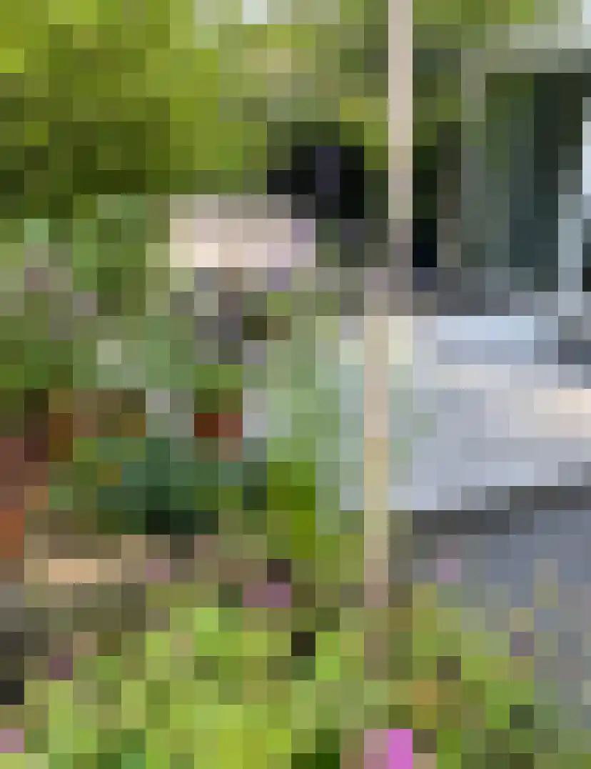 Beethovenlaan 44 Naarden thumbnail 25