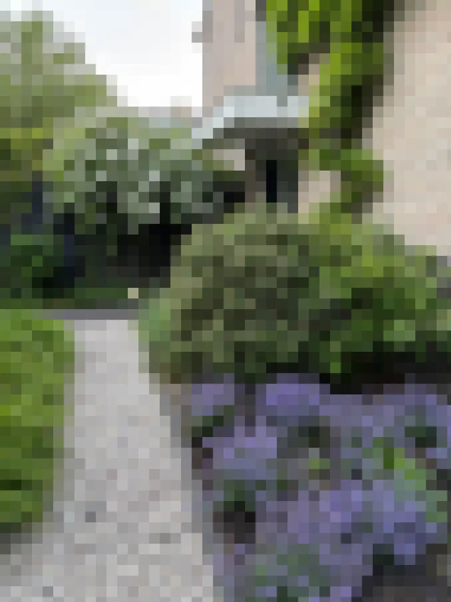 Beethovenlaan 44 Naarden thumbnail 28