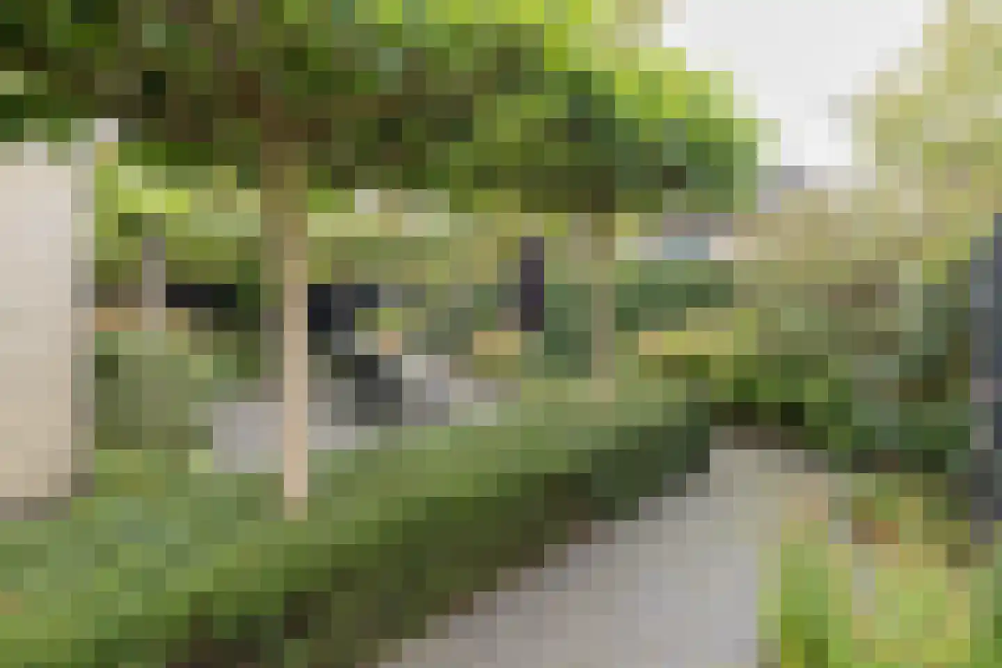 Beethovenlaan 44 Naarden thumbnail 4
