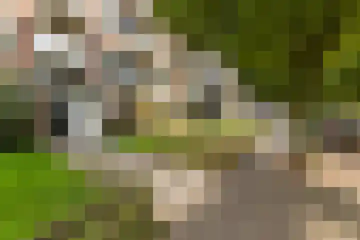 Beethovenlaan 444 Zwolle thumbnail 15