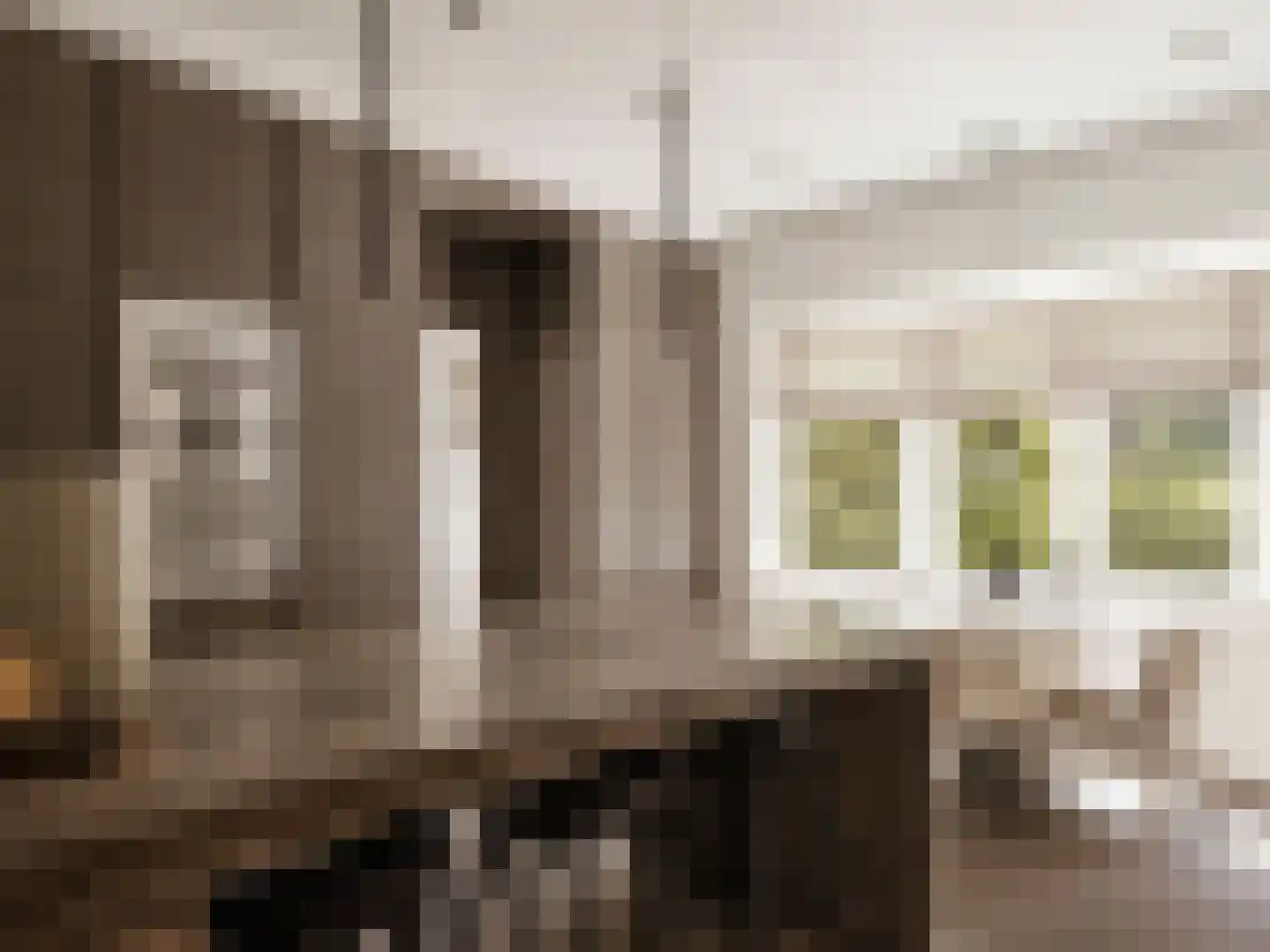Beethovenlaan 45 Hilversum thumbnail 20