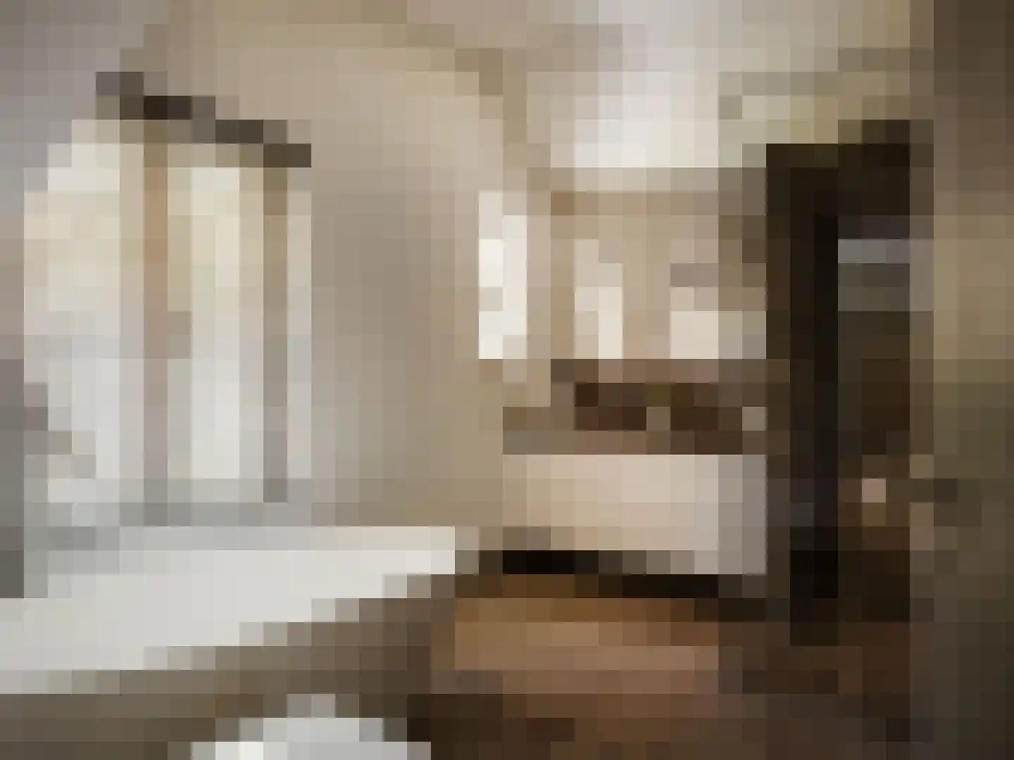 Beethovenlaan 45 Hilversum thumbnail 30