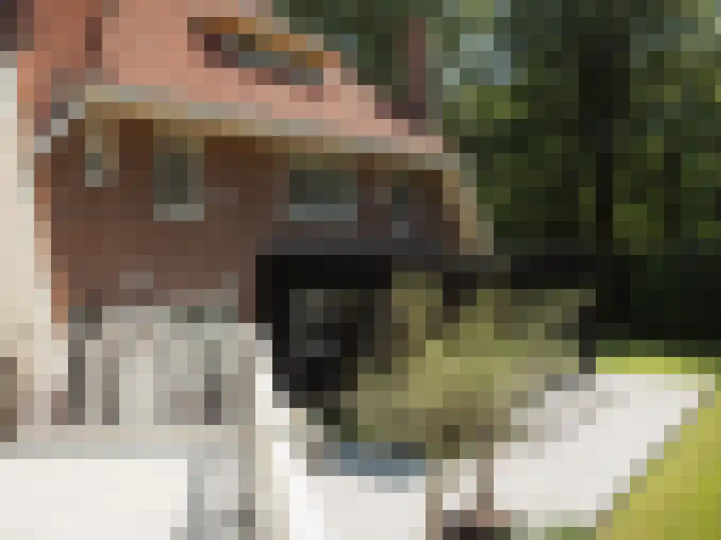 Beethovenlaan 45 Hilversum thumbnail 51