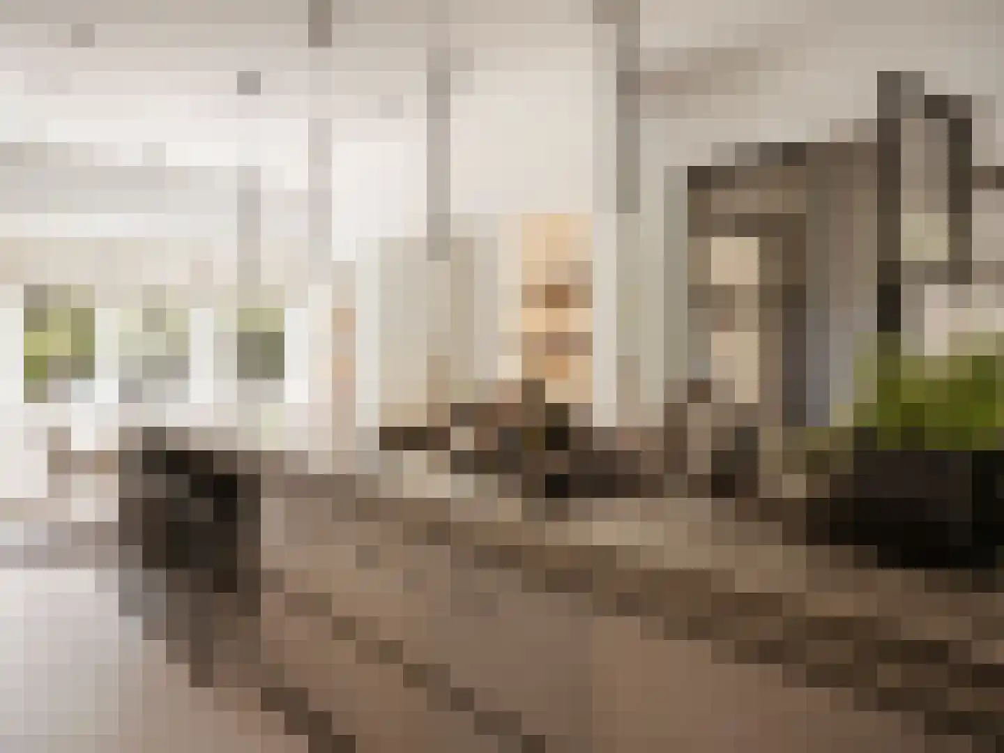 Beethovenlaan 45 Hilversum thumbnail 7
