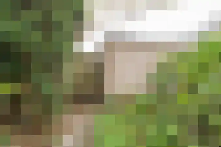 Beethovenlaan 45 Nijkerk thumbnail 4