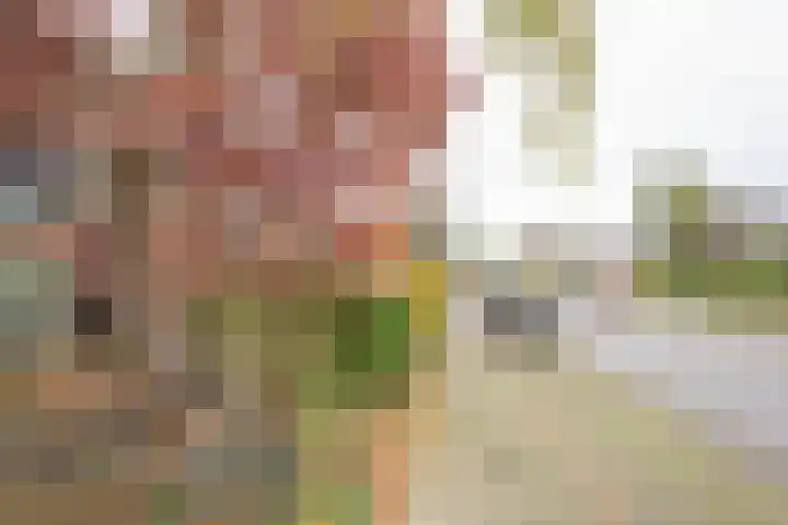 Beethovenlaan 45 Nijkerk thumbnail 5