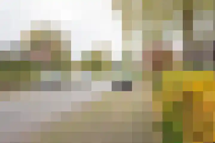 Beethovenlaan 45 Nijkerk thumbnail 6