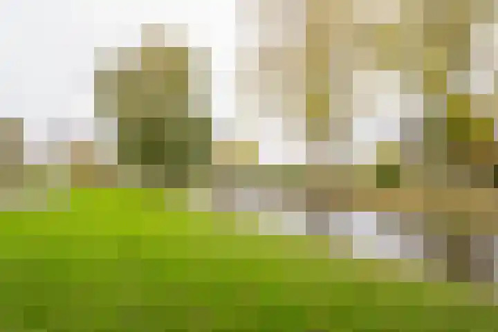 Beethovenlaan 45 Nijkerk thumbnail 9
