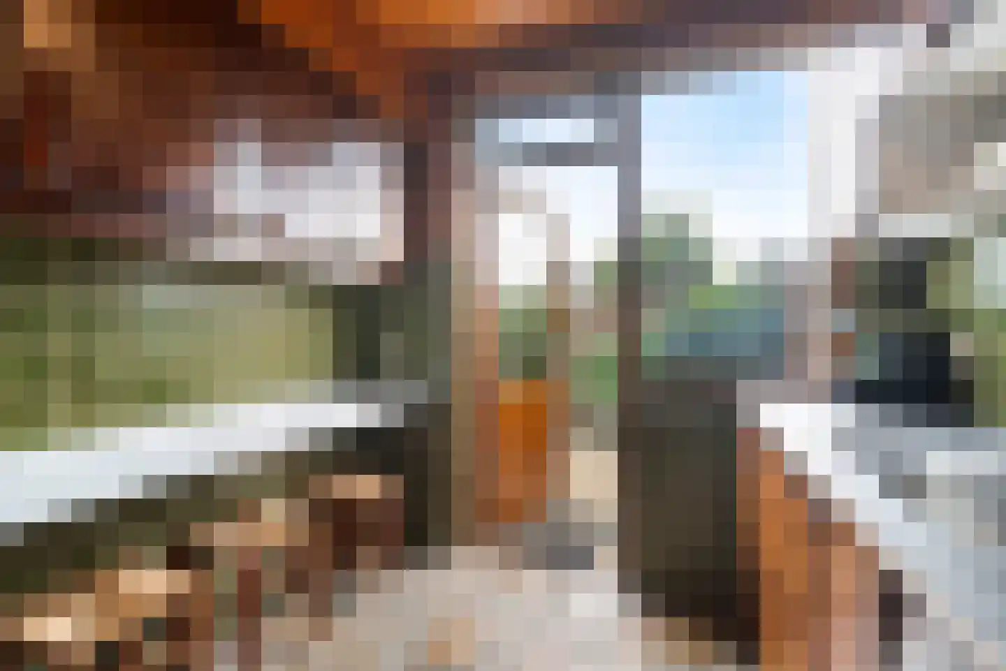 Beethovenlaan 46 Waddinxveen thumbnail 18