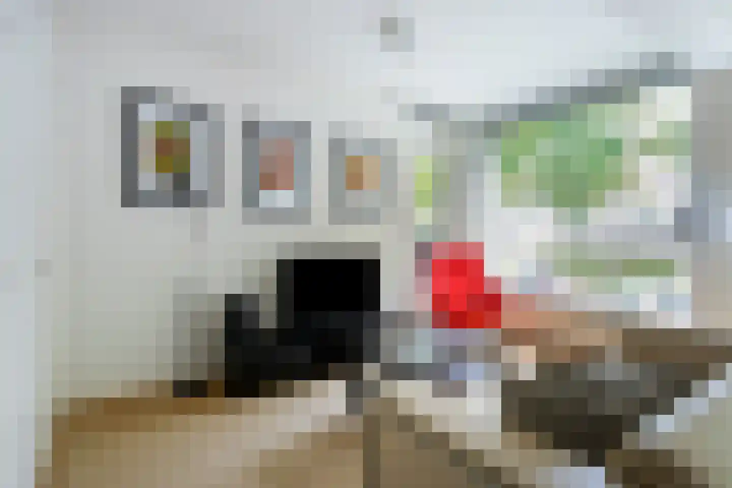 Beethovenlaan 48 Groningen thumbnail 19