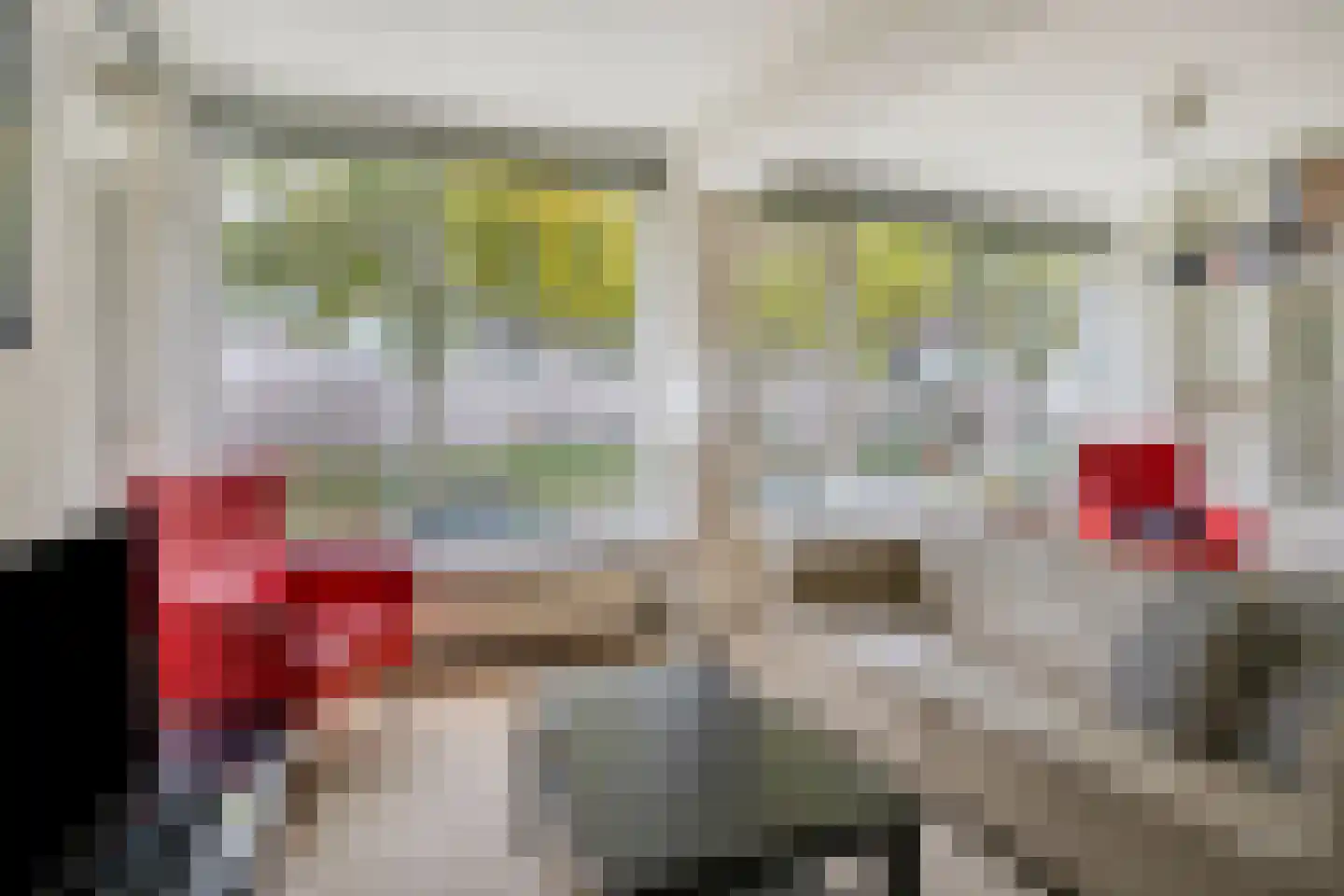 Beethovenlaan 48 Groningen thumbnail 21