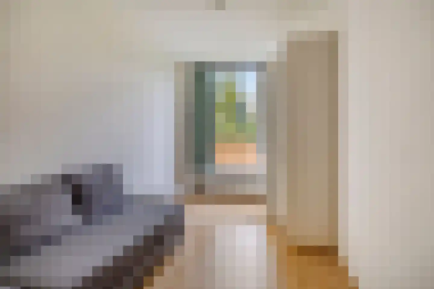 Beethovenlaan 48 Groningen thumbnail 27