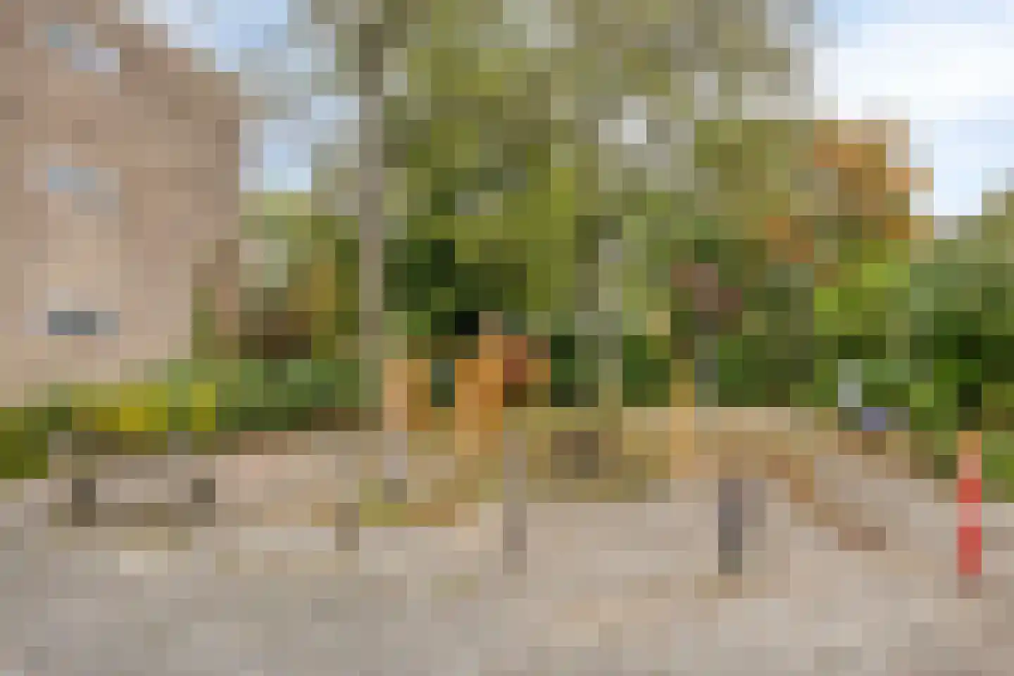 Beethovenlaan 48 Groningen thumbnail 49