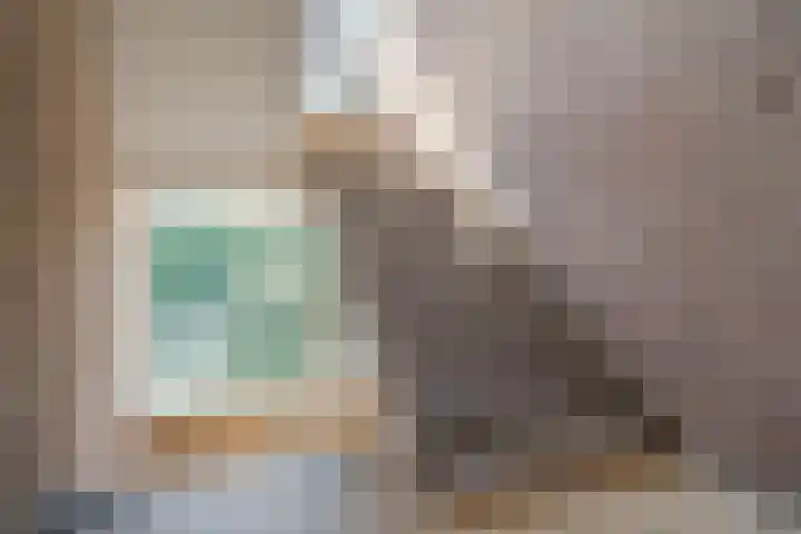 Beethovenlaan 488 Zwolle thumbnail 33