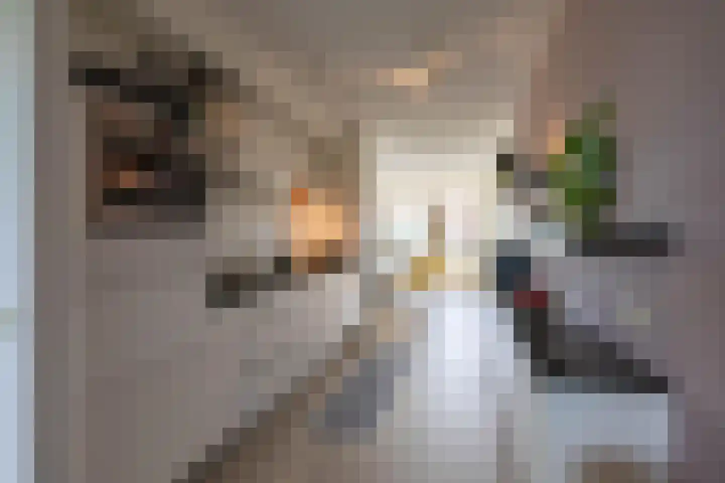 Beethovenlaan 5 29 Groningen thumbnail 11