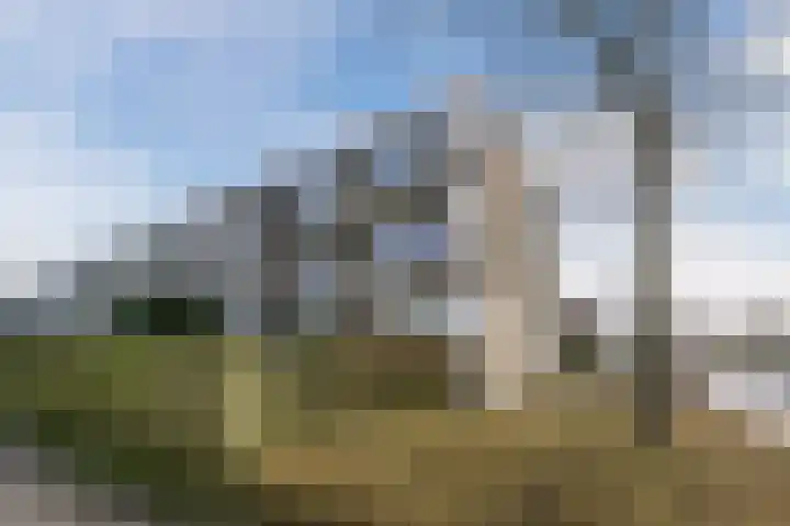 Beethovenlaan 50 Leidschendam thumbnail 33