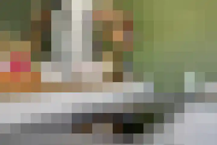 Beethovenlaan 50 Raamsdonksveer thumbnail 13