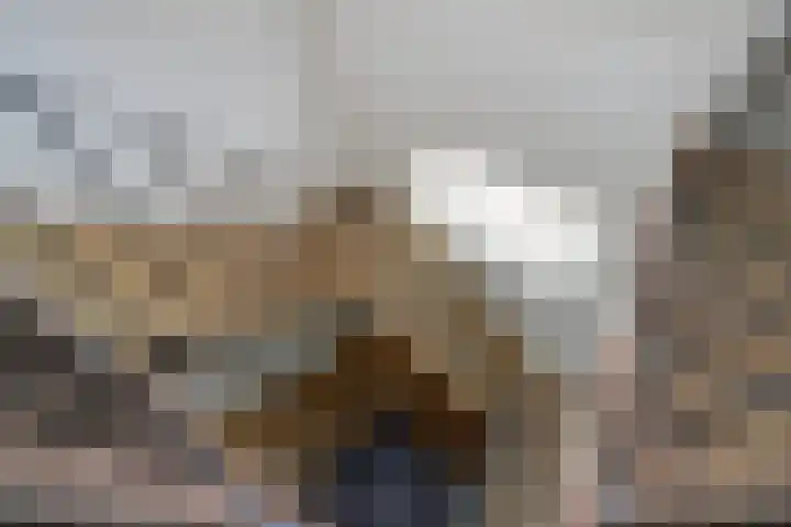 Beethovenlaan 50 Raamsdonksveer thumbnail 31