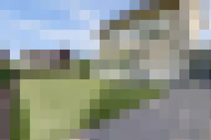 Beethovenlaan 50 Raamsdonksveer thumbnail 5