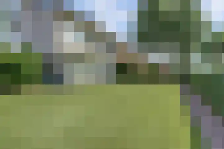 Beethovenlaan 50 Raamsdonksveer thumbnail 57