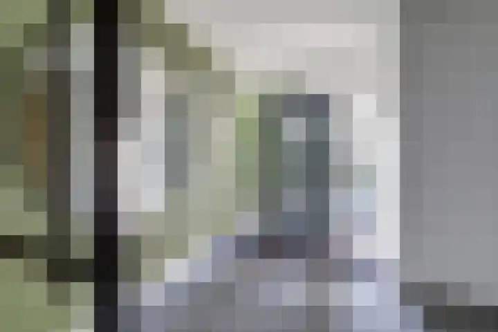 Beethovenlaan 50 Raamsdonksveer thumbnail 6