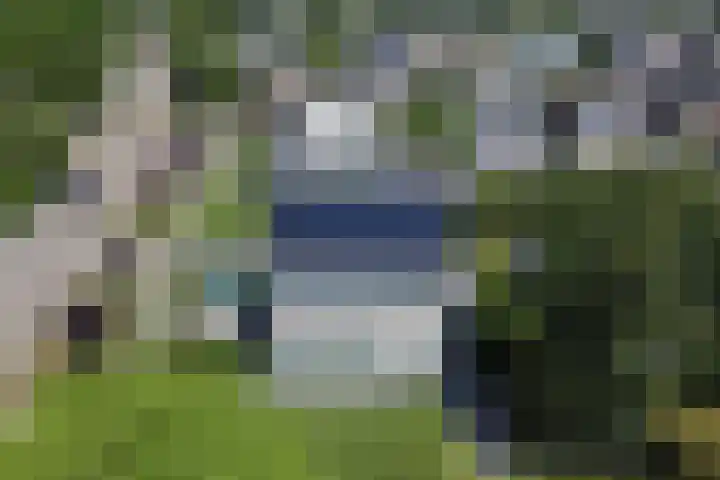 Beethovenlaan 50 Raamsdonksveer thumbnail 60