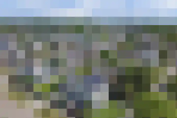 Beethovenlaan 50 Raamsdonksveer thumbnail 61
