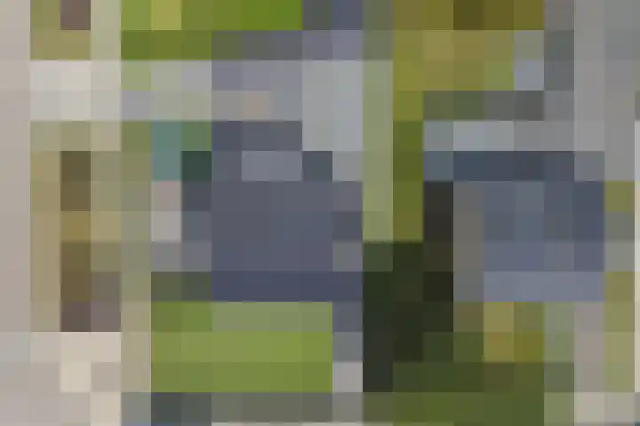 Beethovenlaan 50 Raamsdonksveer thumbnail 62