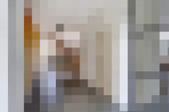 Beethovenlaan 50 Raamsdonksveer thumbnail 7