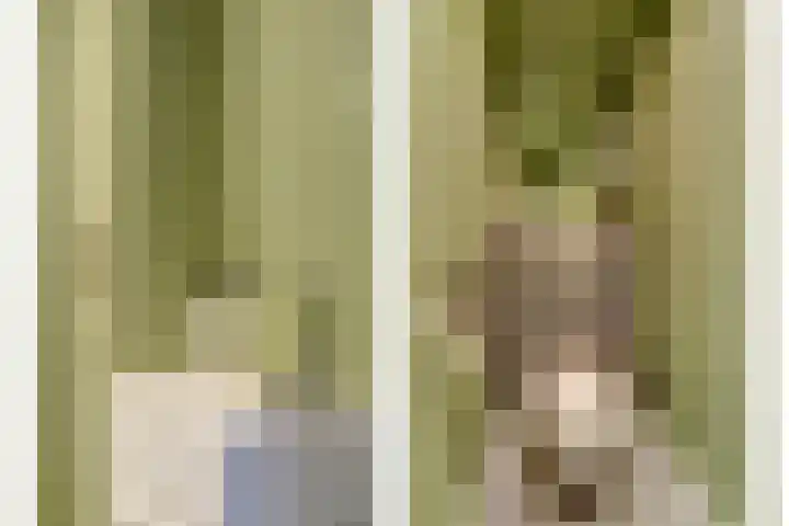 Beethovenlaan 50 Raamsdonksveer thumbnail 8