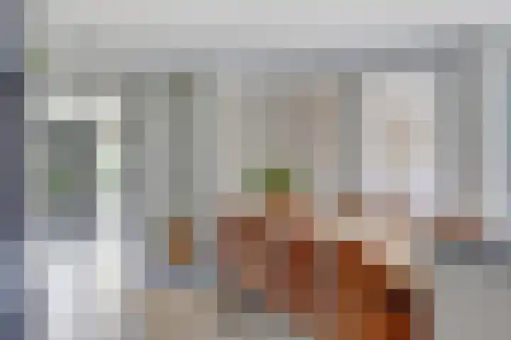 Beethovenlaan 50 Raamsdonksveer thumbnail 9