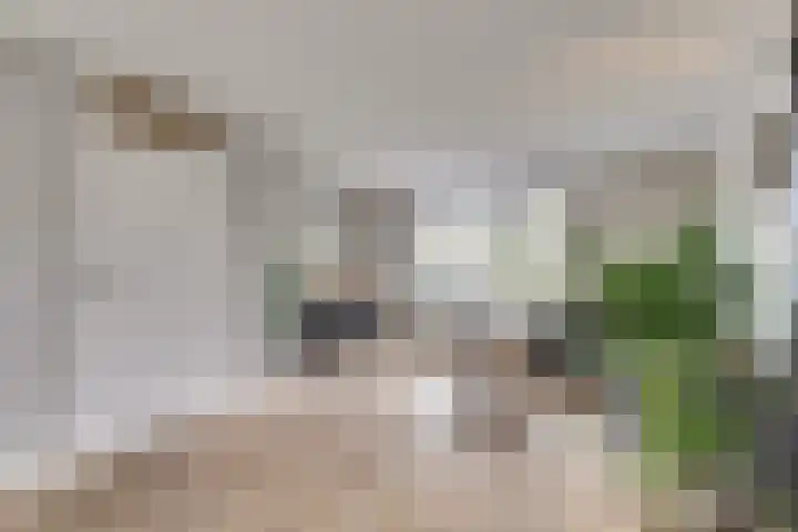 Beethovenlaan 51 Goes thumbnail 10